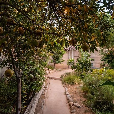 Vicuña Casa Doris 빌라 외부 사진