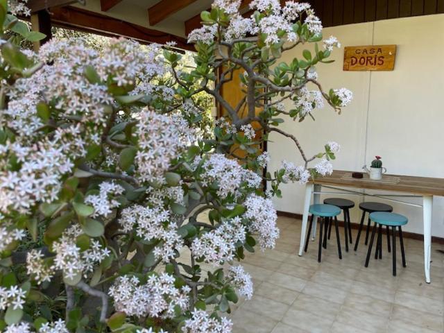 Vicuña Casa Doris 빌라 외부 사진