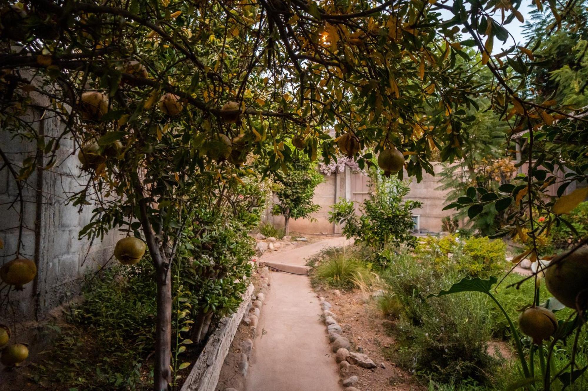 Vicuña Casa Doris 빌라 외부 사진
